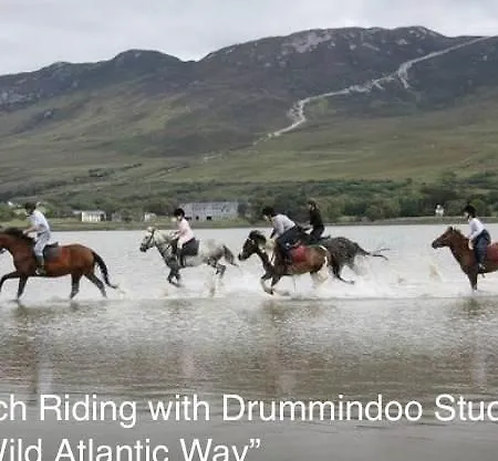 Westbrook Country House * Castlebar