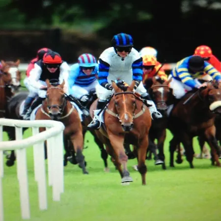 Westbrook Country House * Castlebar