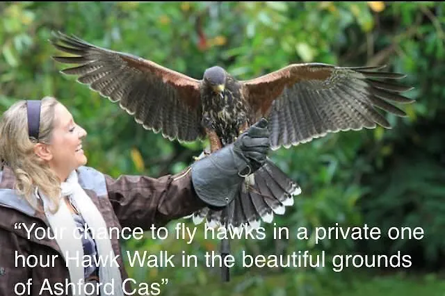 Westbrook Country House Летний дом