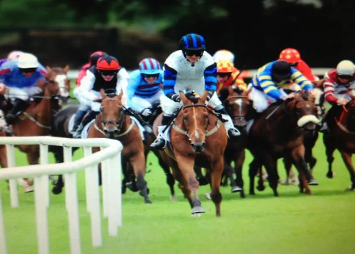 Westbrook Country House * Каслбар